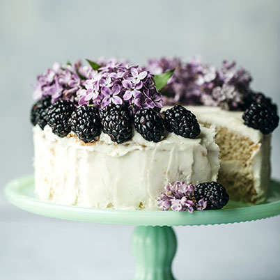 banner image: blueberry cake